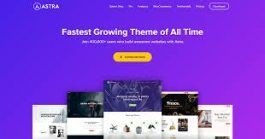 wordpress-theme-für-bloggestaltung-mit-verschiedenen-Elementen-und-Funktionen